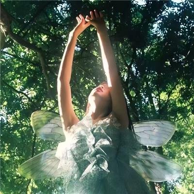 松树街的那幢房子